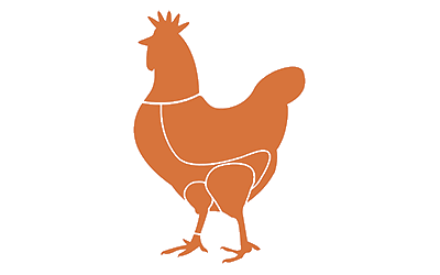 despiece_pollo
