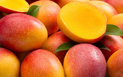 mango-knt
